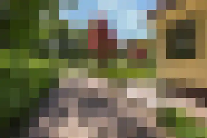 Ruggeweg 3 Beekbergen thumbnail 34