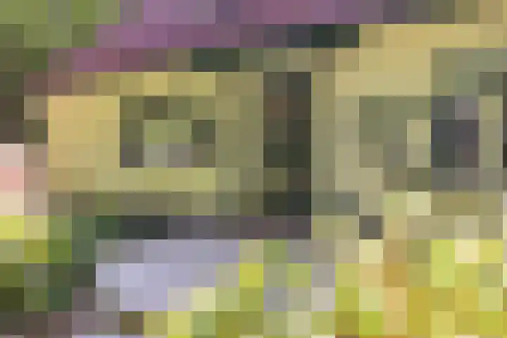 Ruggeweg 3 Beekbergen thumbnail 35