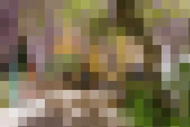 Ruggeweg 3 Beekbergen thumbnail 37