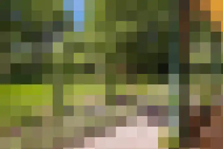 Ruggeweg 3 Beekbergen thumbnail 38