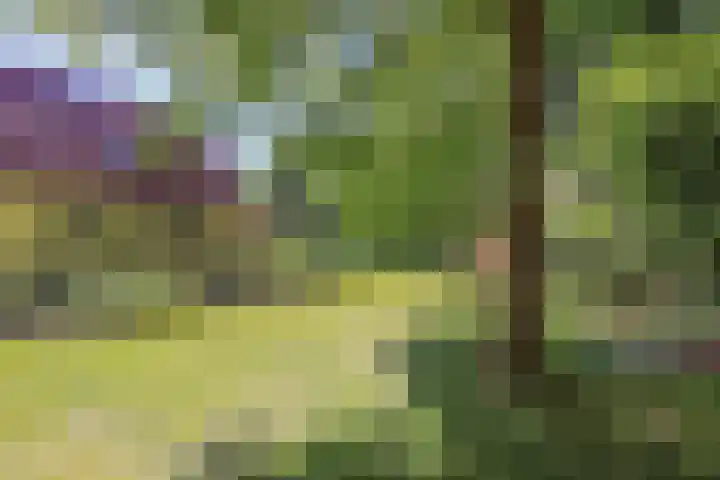 Ruggeweg 3 Beekbergen thumbnail 39