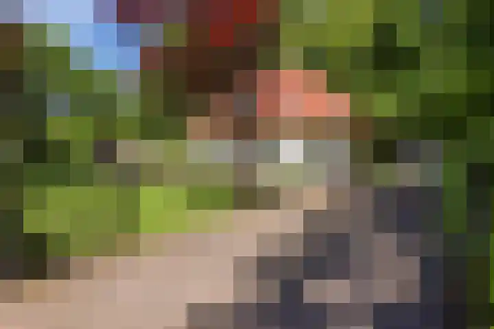 Ruggeweg 3 Beekbergen thumbnail 4