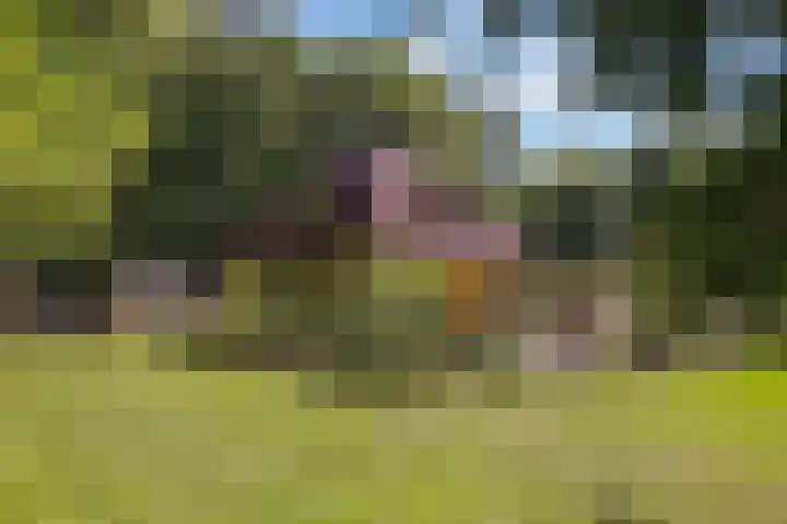 Ruggeweg 3 Beekbergen thumbnail 41