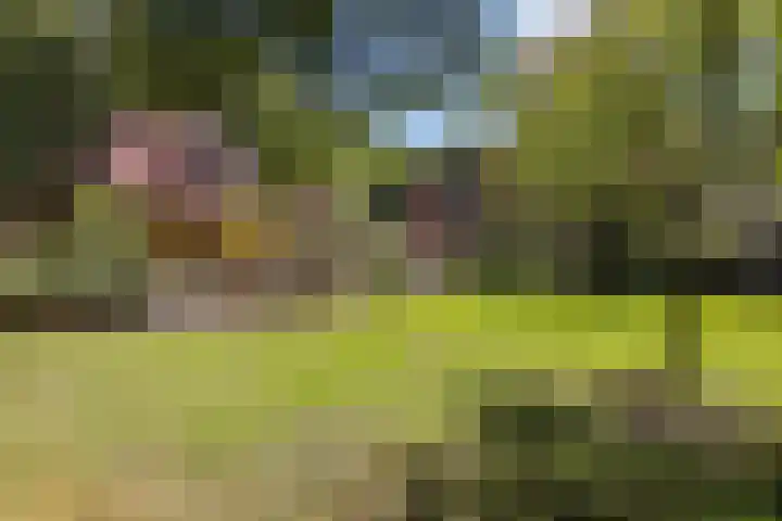 Ruggeweg 3 Beekbergen thumbnail 42