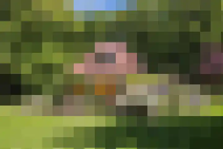 Ruggeweg 3 Beekbergen thumbnail 43