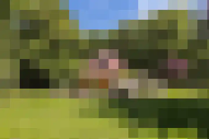 Ruggeweg 3 Beekbergen thumbnail 44