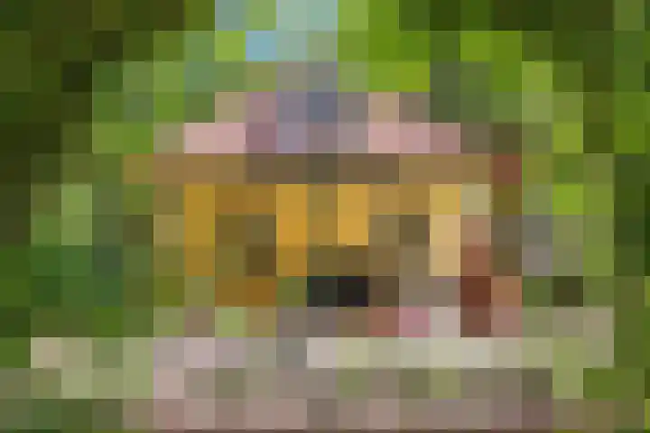 Ruggeweg 3 Beekbergen thumbnail 45