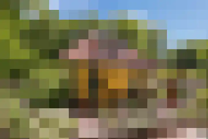 Ruggeweg 3 Beekbergen thumbnail 46