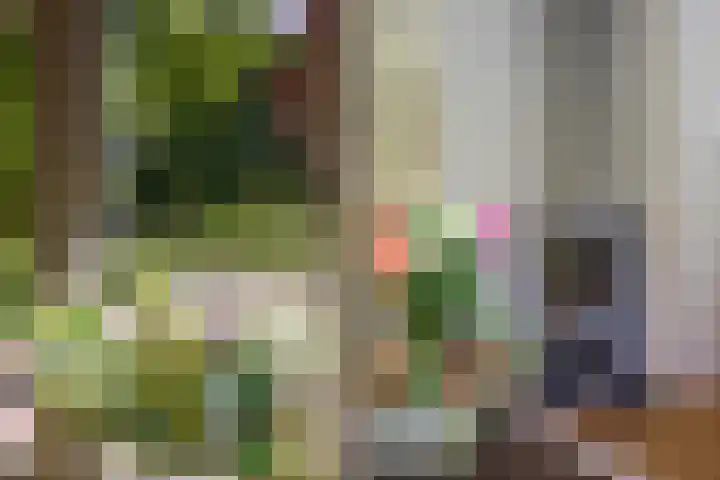 Ruggeweg 3 Beekbergen thumbnail 9