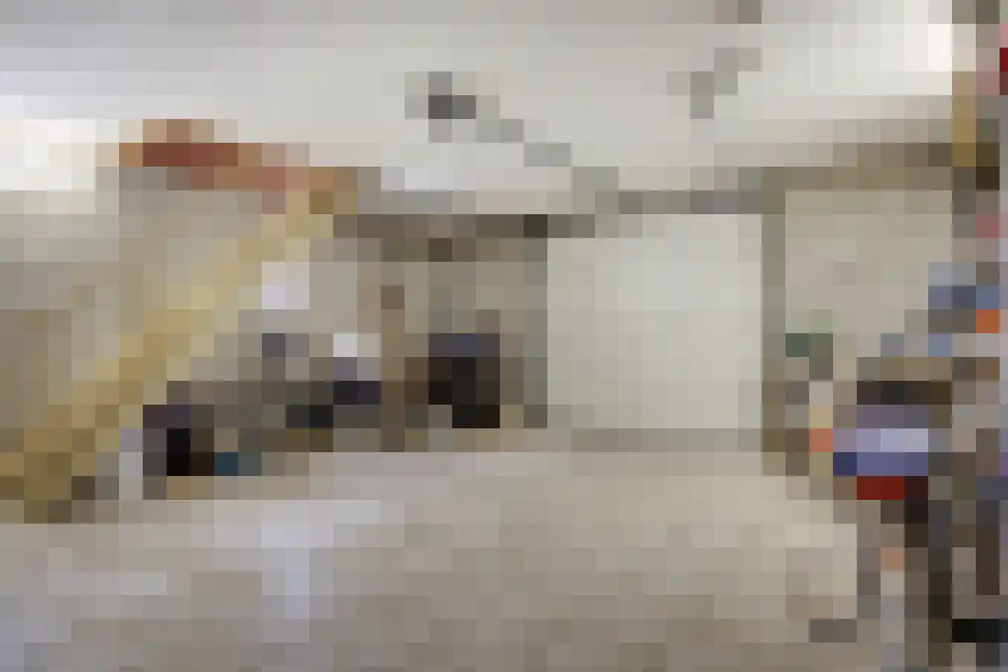 Rugstraat 43 St. Willebrord thumbnail 15