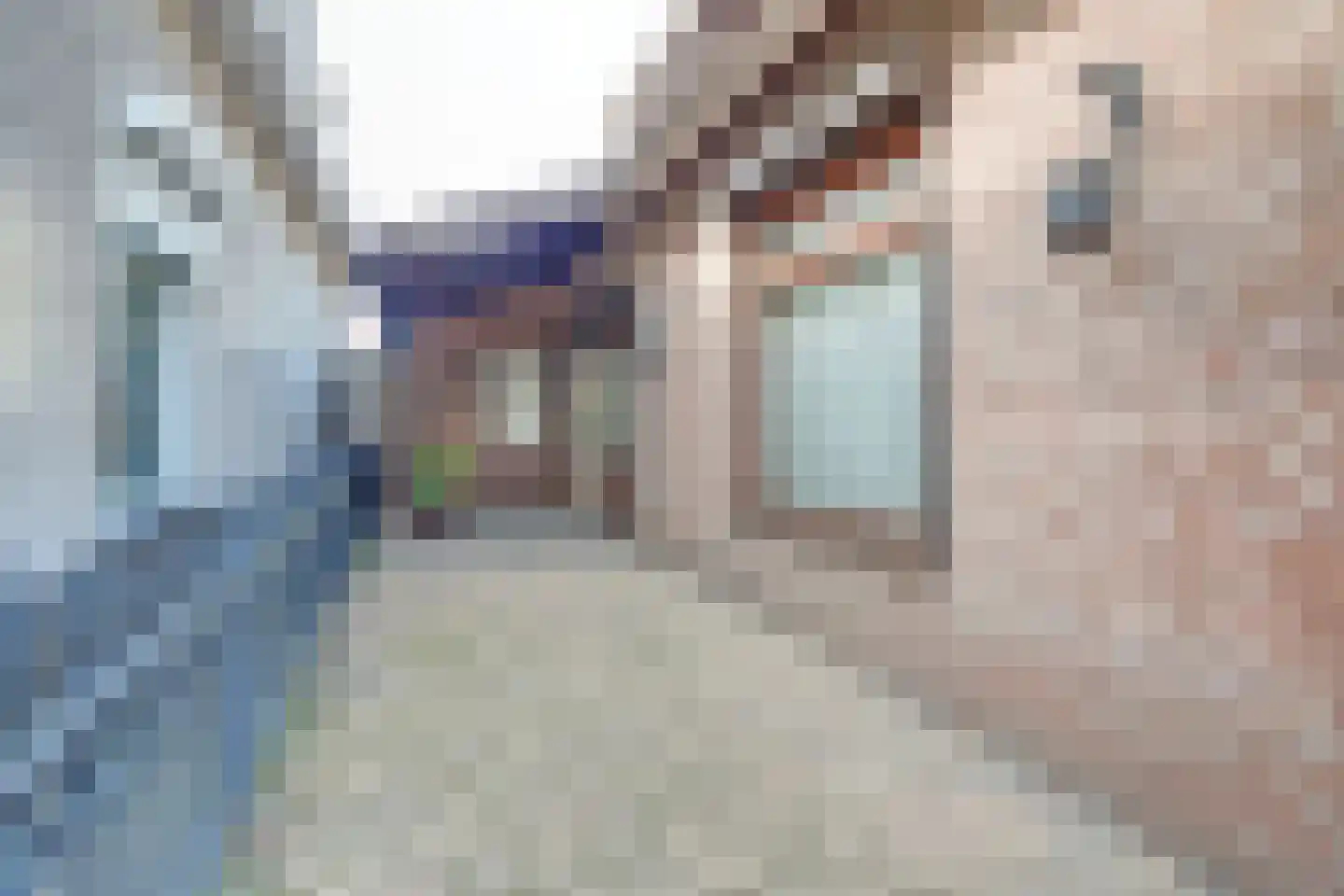 Rugstraat 43 St. Willebrord thumbnail 19