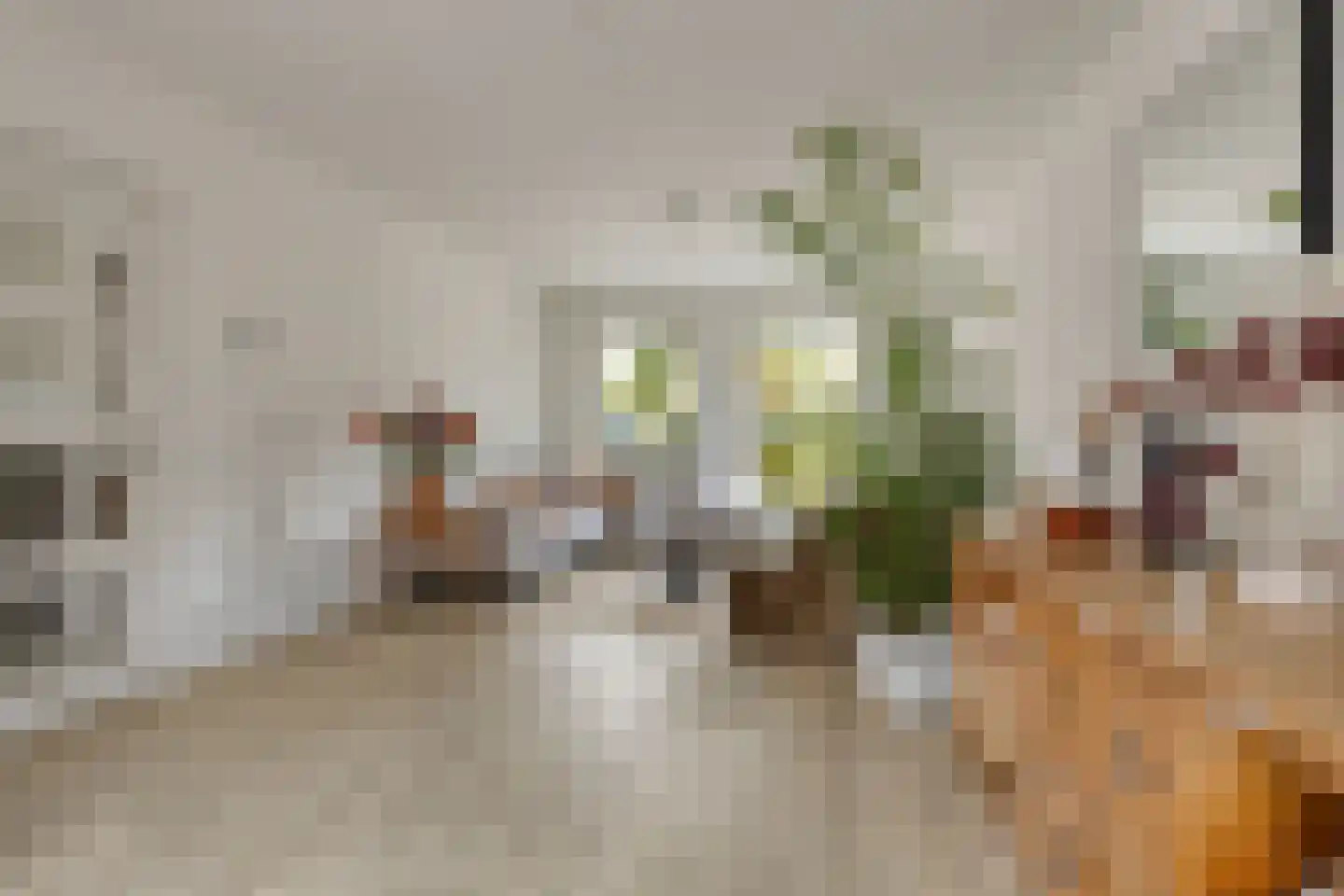 Rugstraat 44 St. Willebrord thumbnail 10