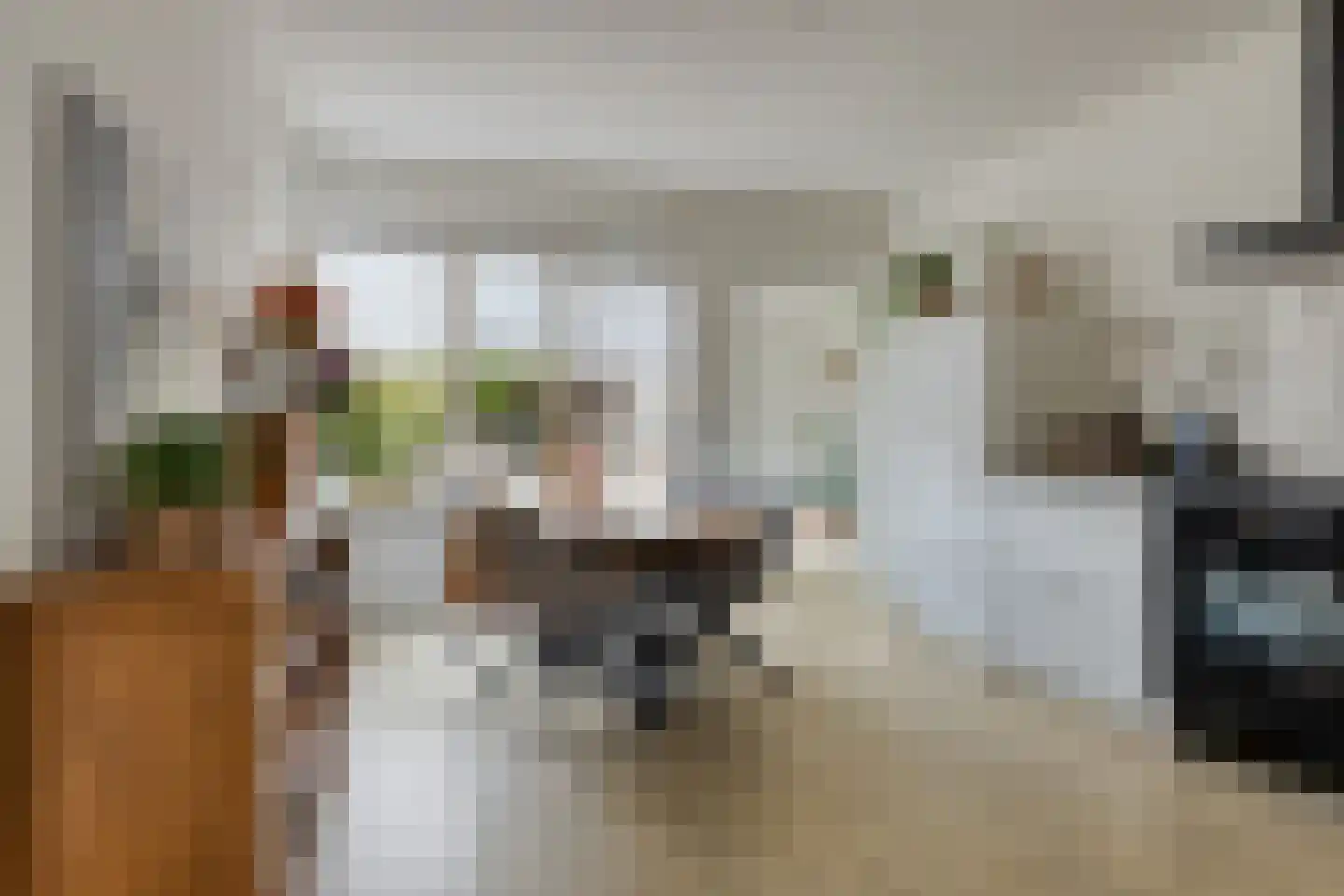Rugstraat 44 St. Willebrord thumbnail 11