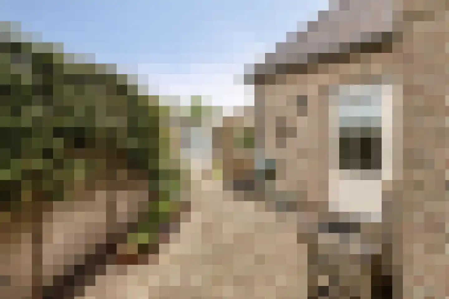 Rugstraat 44 St. Willebrord thumbnail 17
