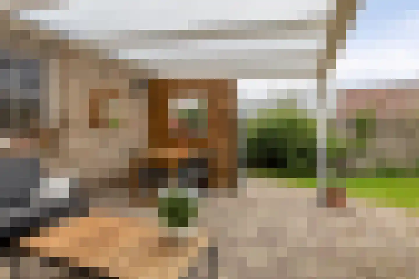 Rugstraat 44 St. Willebrord thumbnail 21