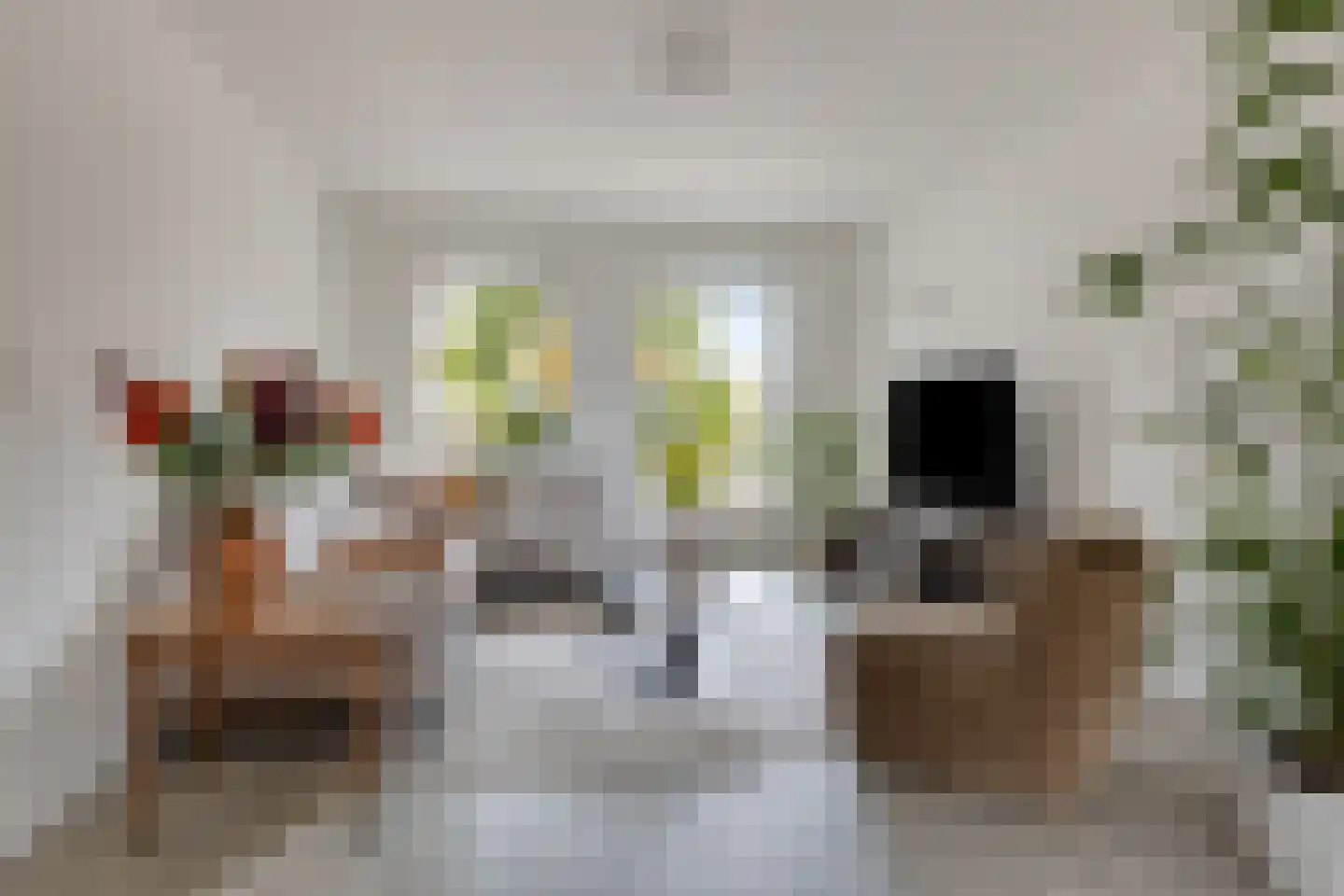Rugstraat 44 St. Willebrord thumbnail 7