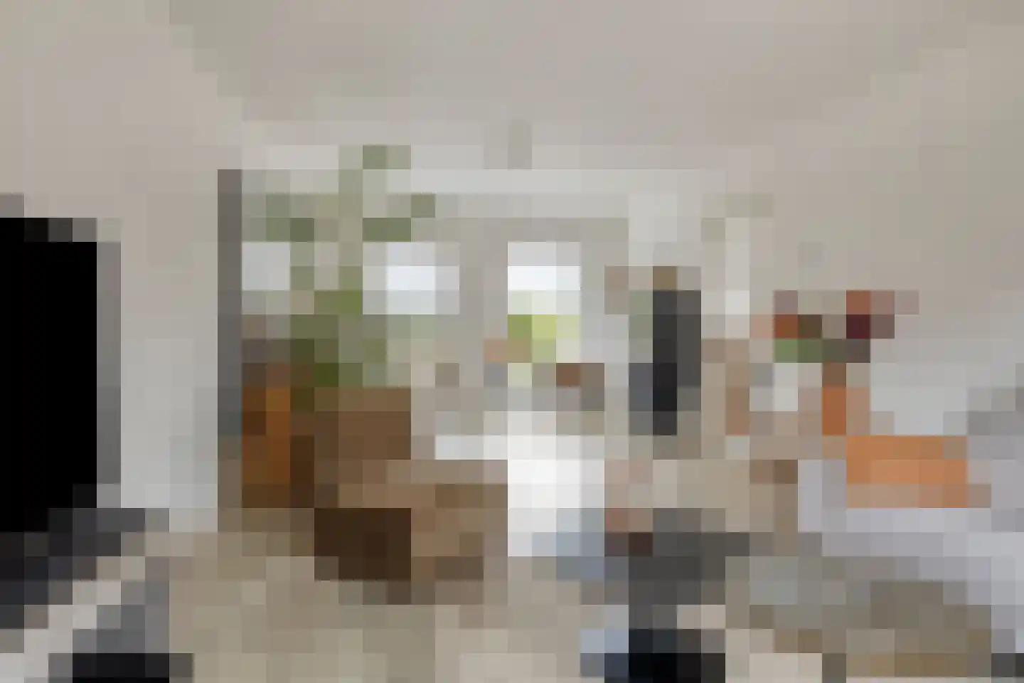 Rugstraat 44 St. Willebrord thumbnail 8