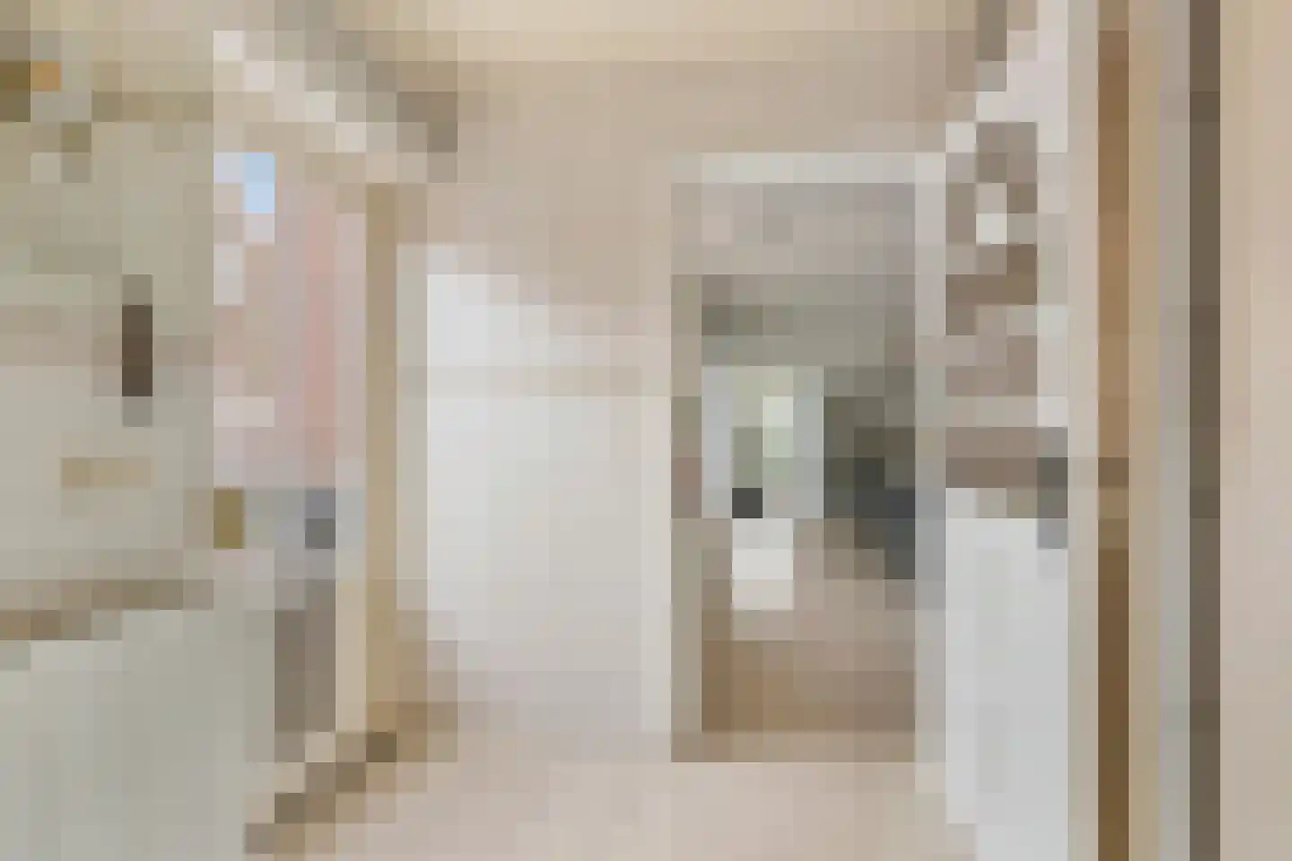 Rugstraat 6 St. Willebrord thumbnail 11