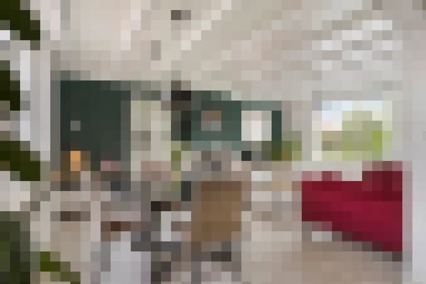 Rugstraat 6 St. Willebrord thumbnail 5