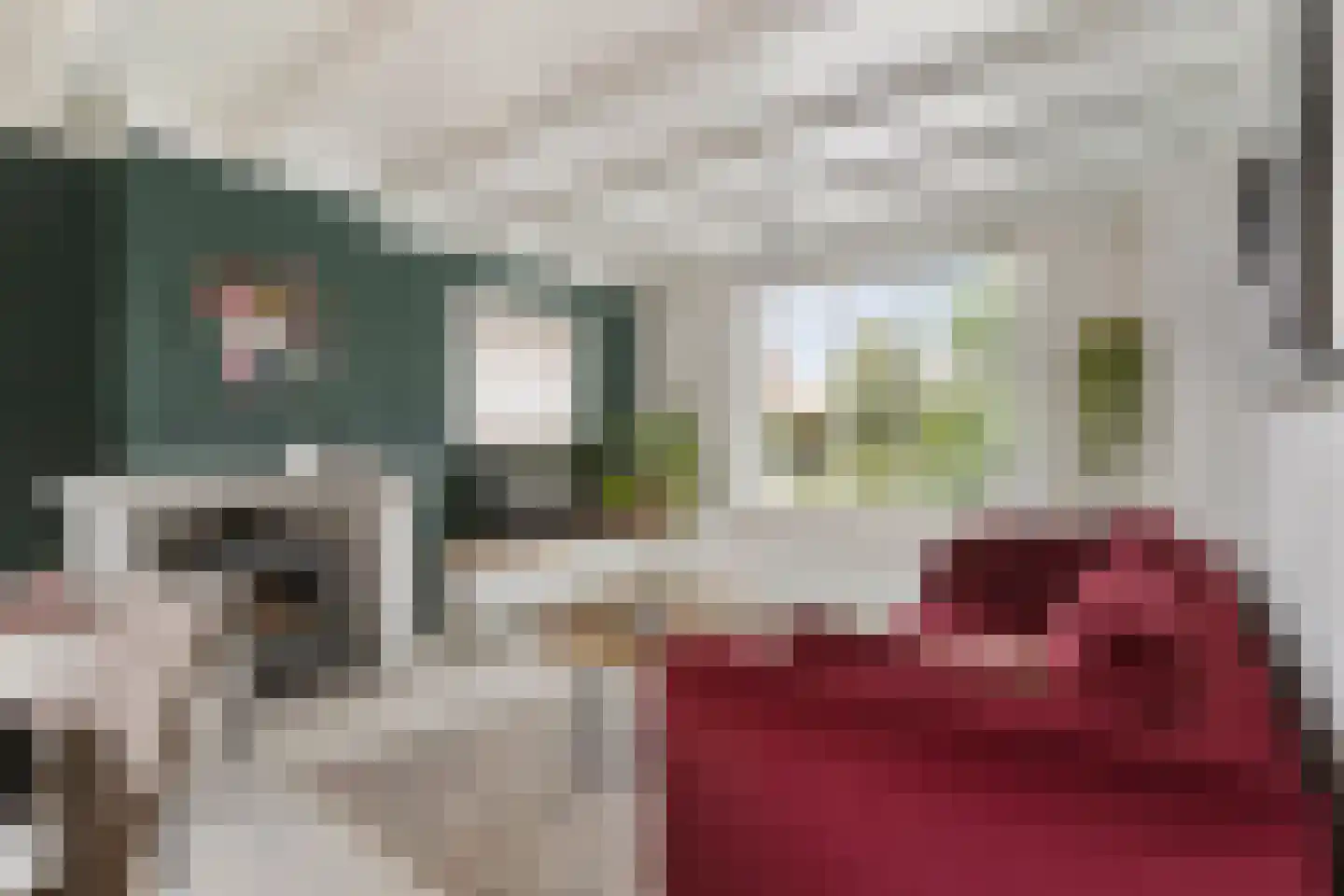 Rugstraat 6 St. Willebrord thumbnail 6