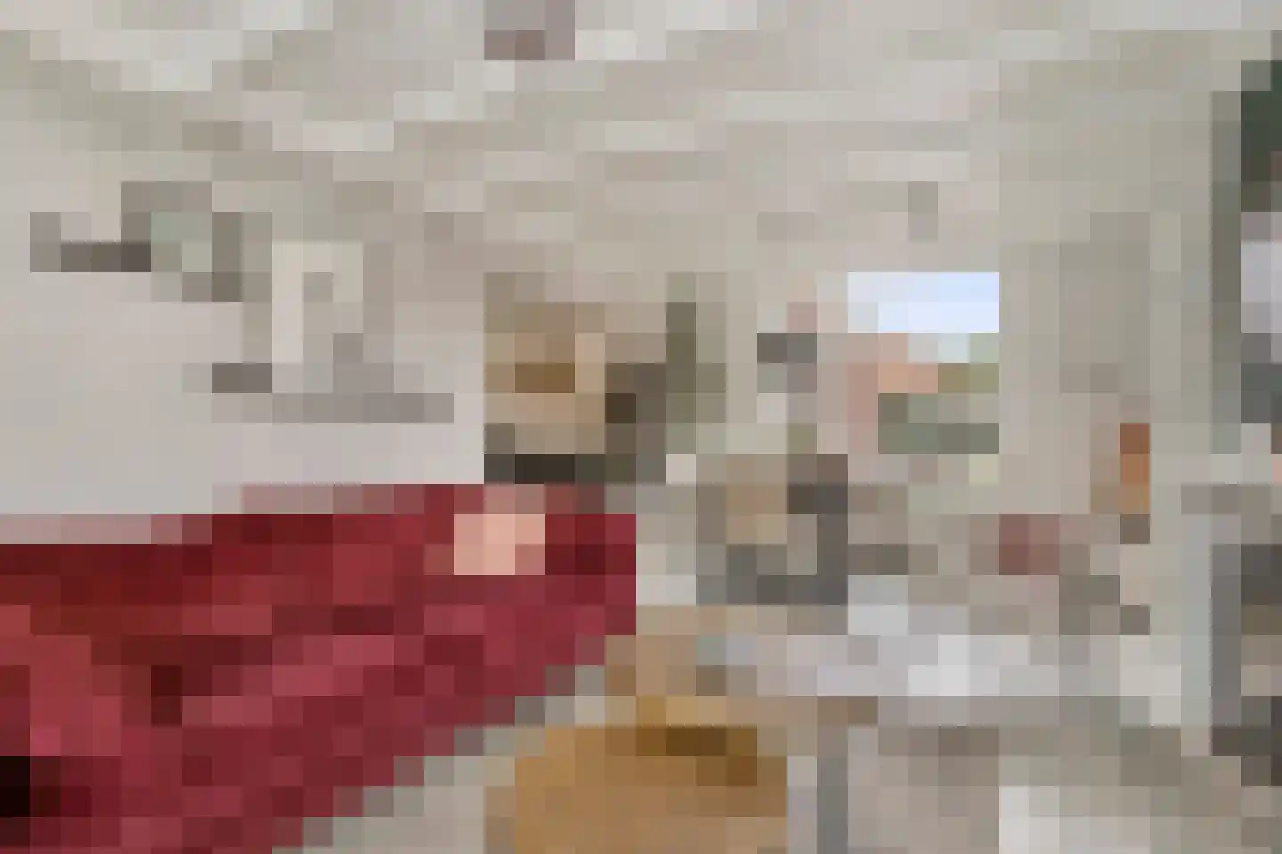 Rugstraat 6 St. Willebrord thumbnail 7