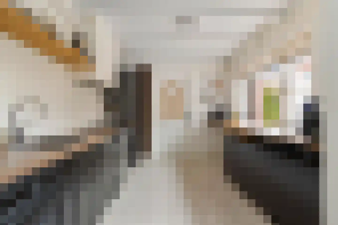 Rugstraat 6 St. Willebrord thumbnail 9