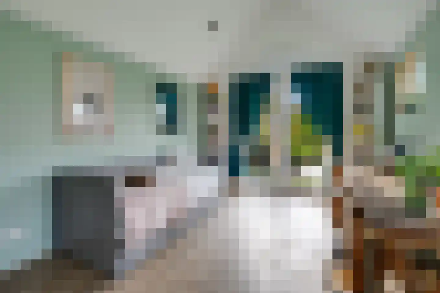 Rugstraat 63 St. Willebrord thumbnail 35