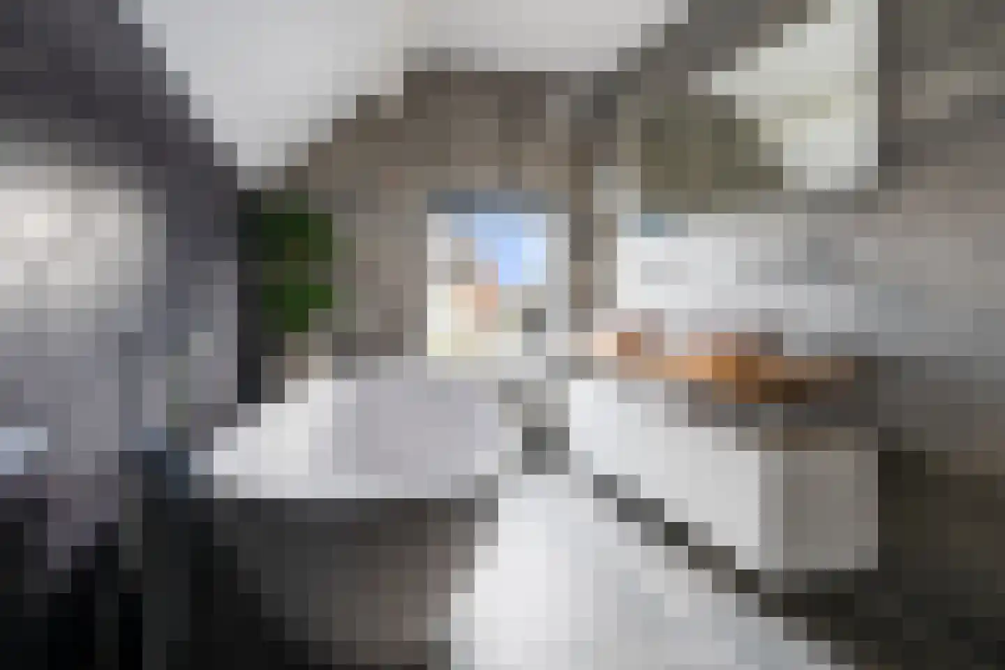 Rugstraat 63 St. Willebrord thumbnail 5