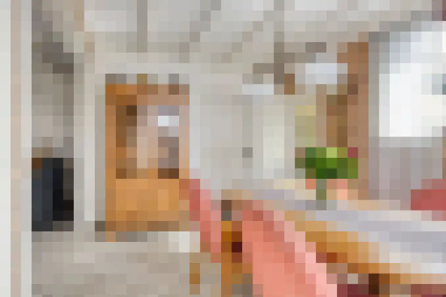 Rugstraat 69 St. Willebrord thumbnail 14