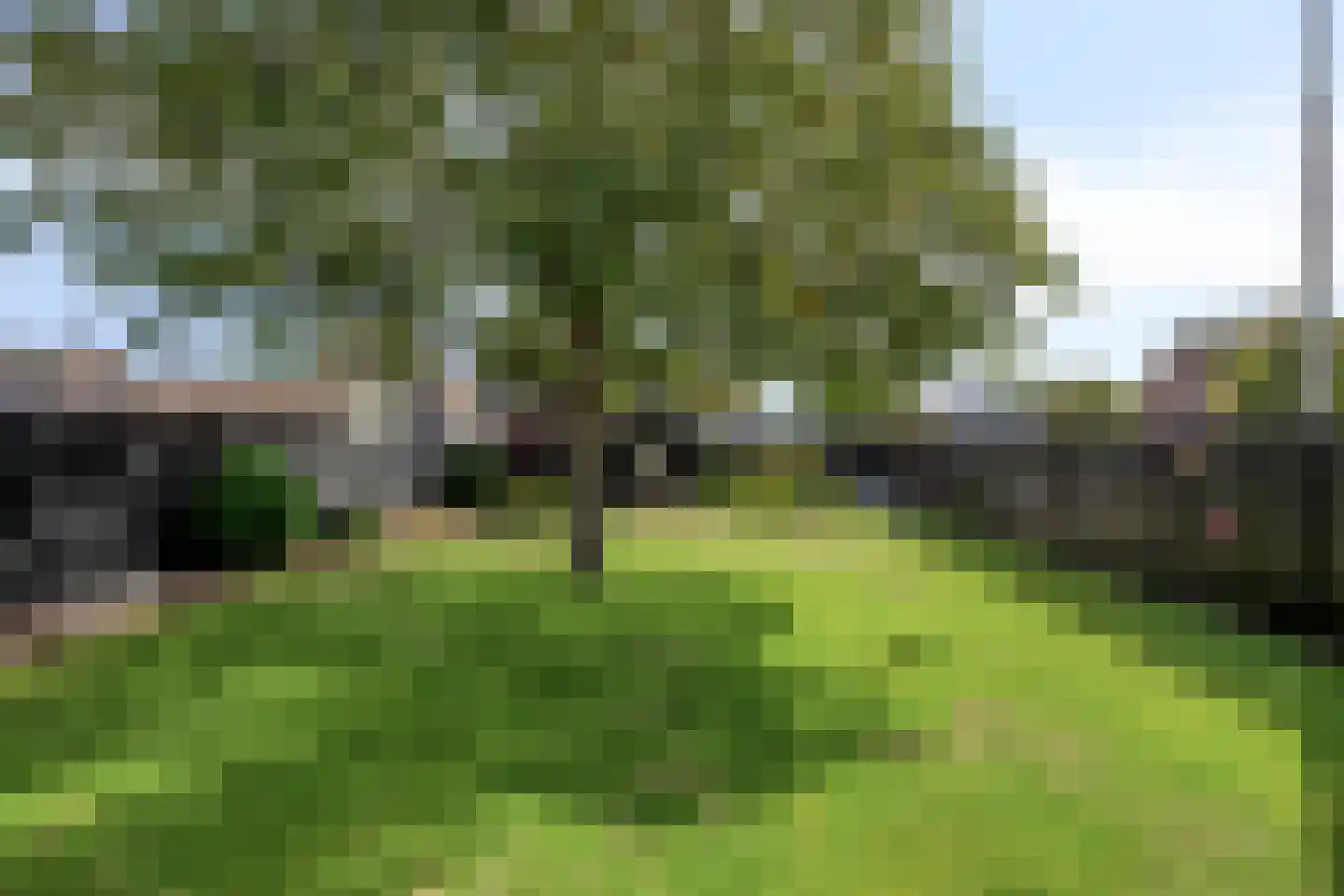 Rugstraat 69 St. Willebrord thumbnail 42