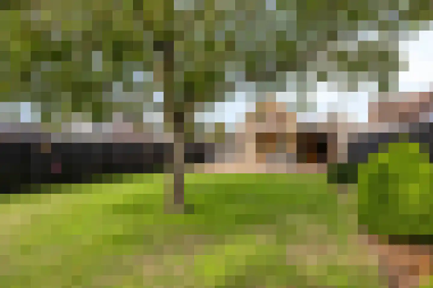 Rugstraat 69 St. Willebrord thumbnail 43