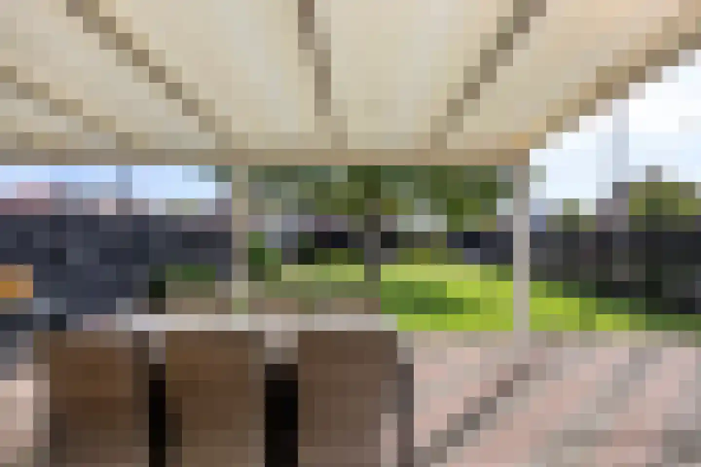 Rugstraat 69 St. Willebrord thumbnail 5