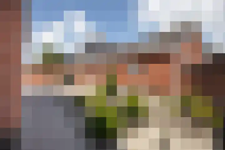 Rugstraat 72 St. Willebrord thumbnail 30