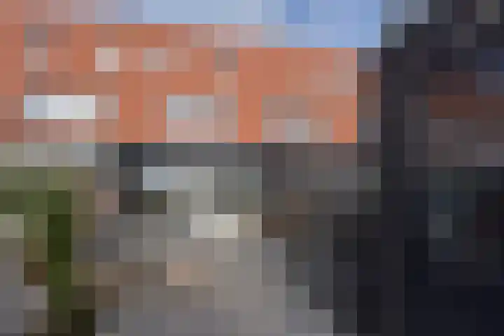 Rugstreeppad 109 Nieuwveen thumbnail 28
