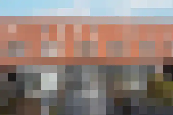 Rugstreeppad 109 Nieuwveen thumbnail 29