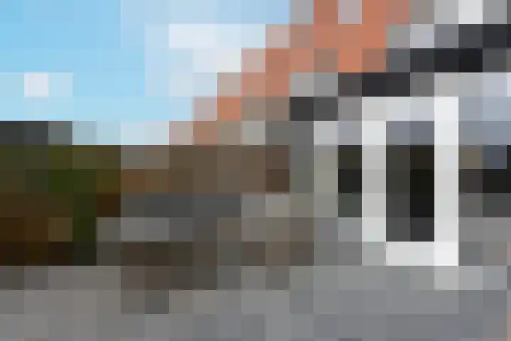 Rugstreeppad 109 Nieuwveen thumbnail 30