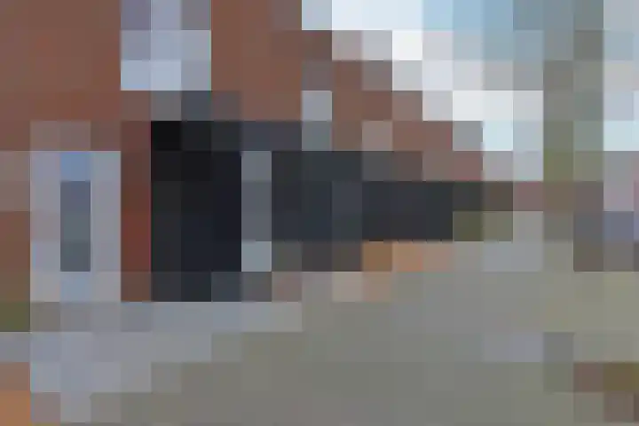 Rugstreeppad 109 Nieuwveen thumbnail 31