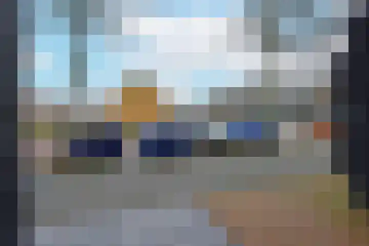 Rugstreeppad 109 Nieuwveen thumbnail 32