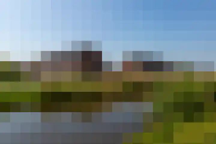Rugstreeppad 109 Nieuwveen thumbnail 34