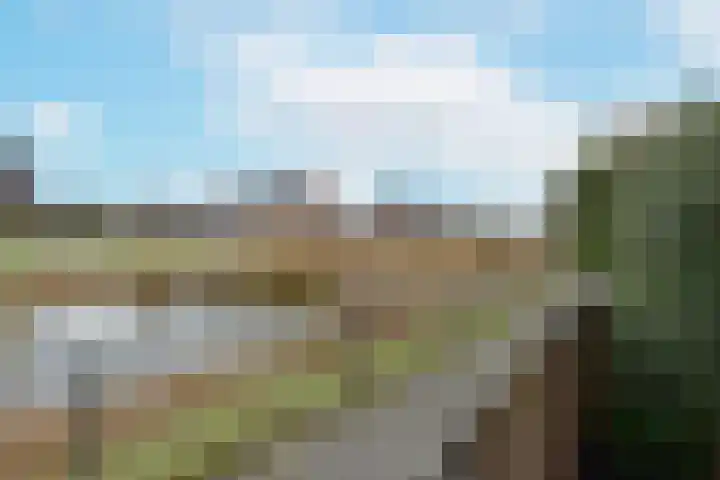 Rugstreeppad 109 Nieuwveen thumbnail 6
