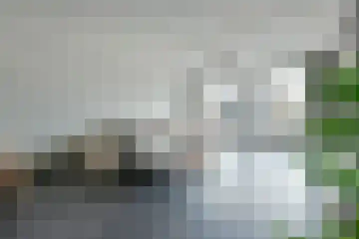Rugstreeppad 109 Nieuwveen thumbnail 9