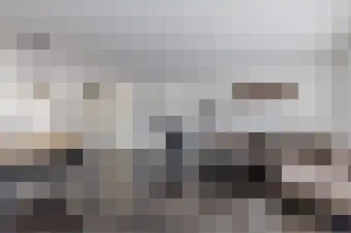 Rugstreeppad 12 Uithoorn thumbnail 10