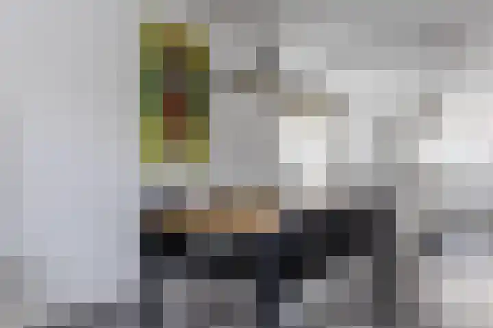 Rugstreeppad 12 Uithoorn thumbnail 12
