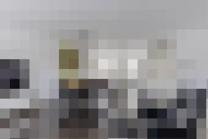 Rugstreeppad 12 Uithoorn thumbnail 14