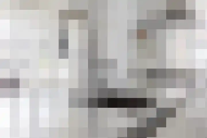 Rugstreeppad 12 Uithoorn thumbnail 16