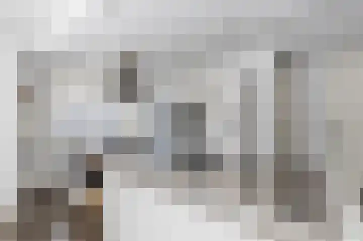 Rugstreeppad 12 Uithoorn thumbnail 18