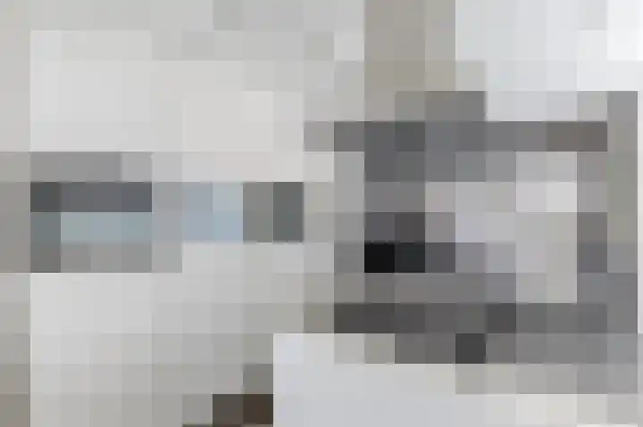 Rugstreeppad 12 Uithoorn thumbnail 19
