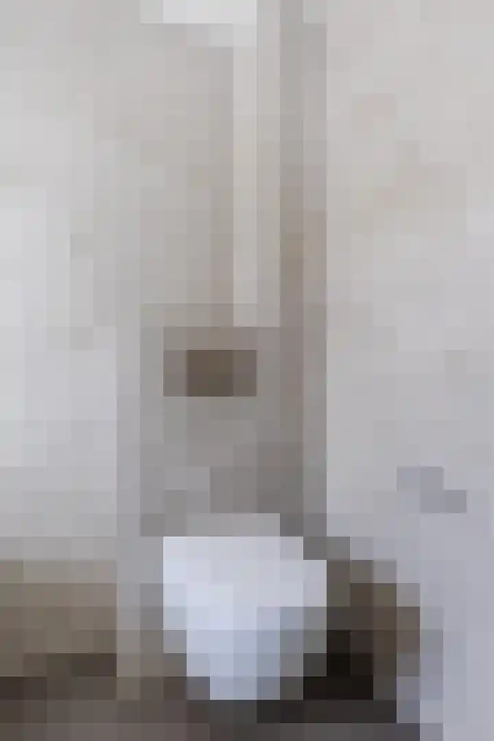 Rugstreeppad 12 Uithoorn thumbnail 32