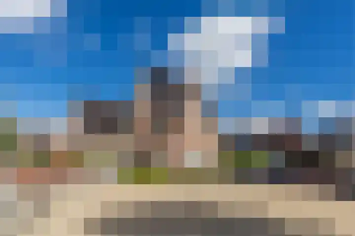 Rugstreeppad 12 Uithoorn thumbnail 4