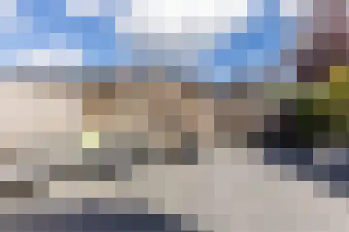 Rugstreeppad 12 Uithoorn thumbnail 44